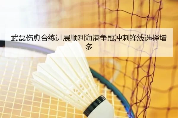 武磊伤愈合练进展顺利海港争冠冲刺锋线选择增多