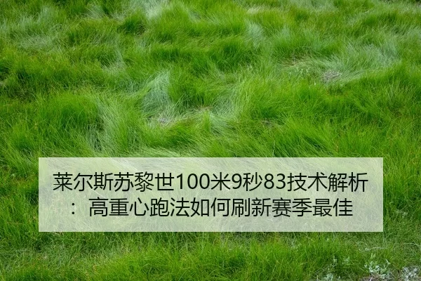 lai-er-si-su-li-shi-mi-miao-ji-shu-jie-xi-gao-zhong-xin-pao-fa-ru-he-shua-xin-sai-ji-zui-jia-2-884.jpg
