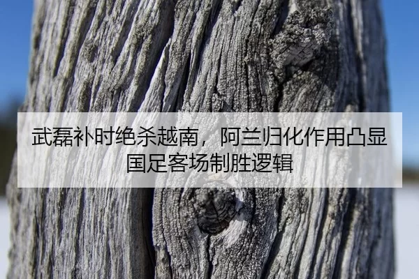 武磊补时绝杀越南，阿兰归化作用凸显国足客场制胜逻辑
